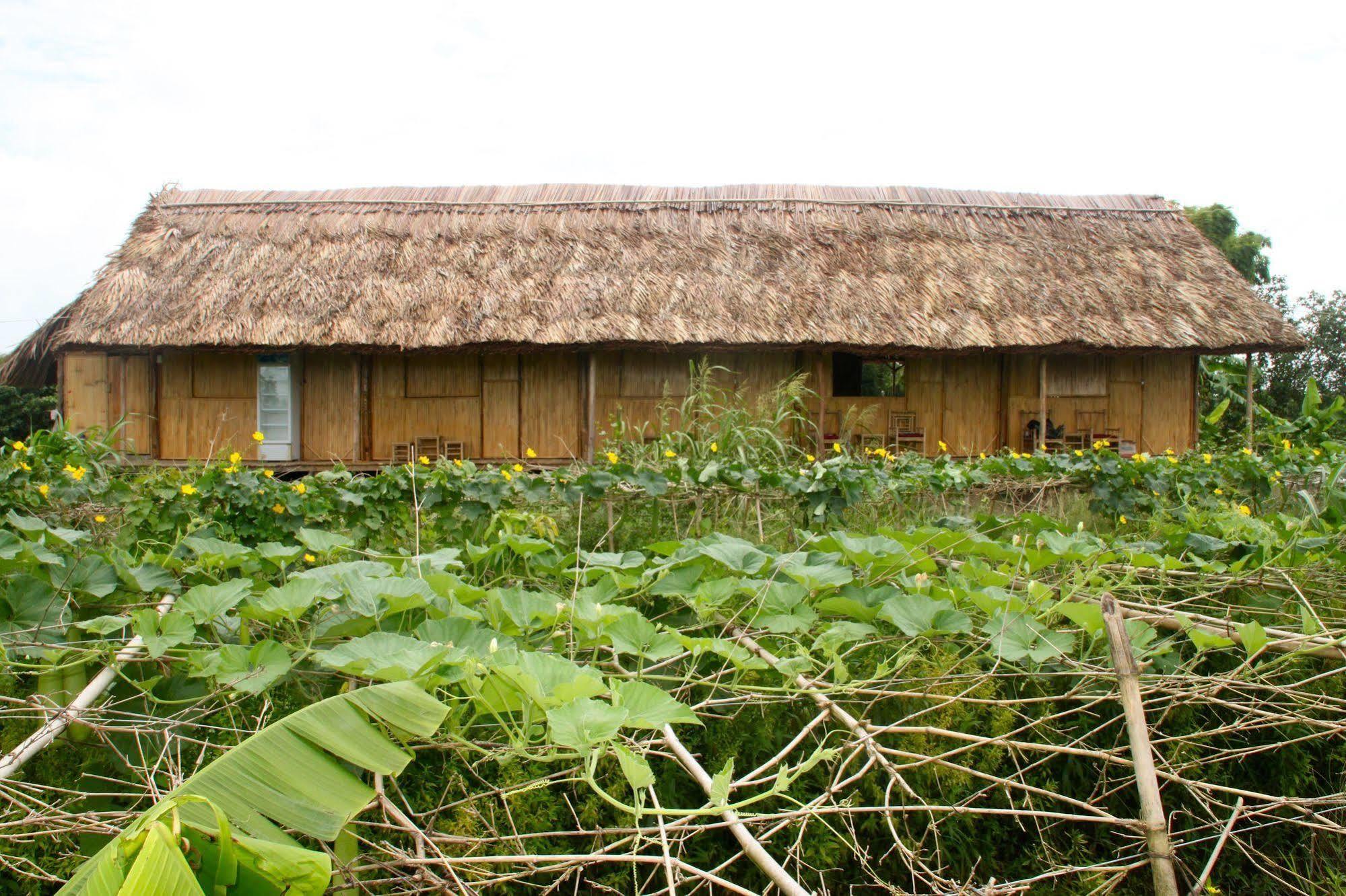 Nguyen Shack - Mekong Can Tho Villa ภายนอก รูปภาพ